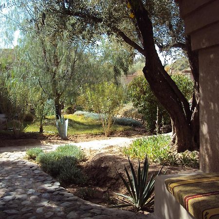 Bed and Breakfast Dar Lorkam Skoura Exterior foto