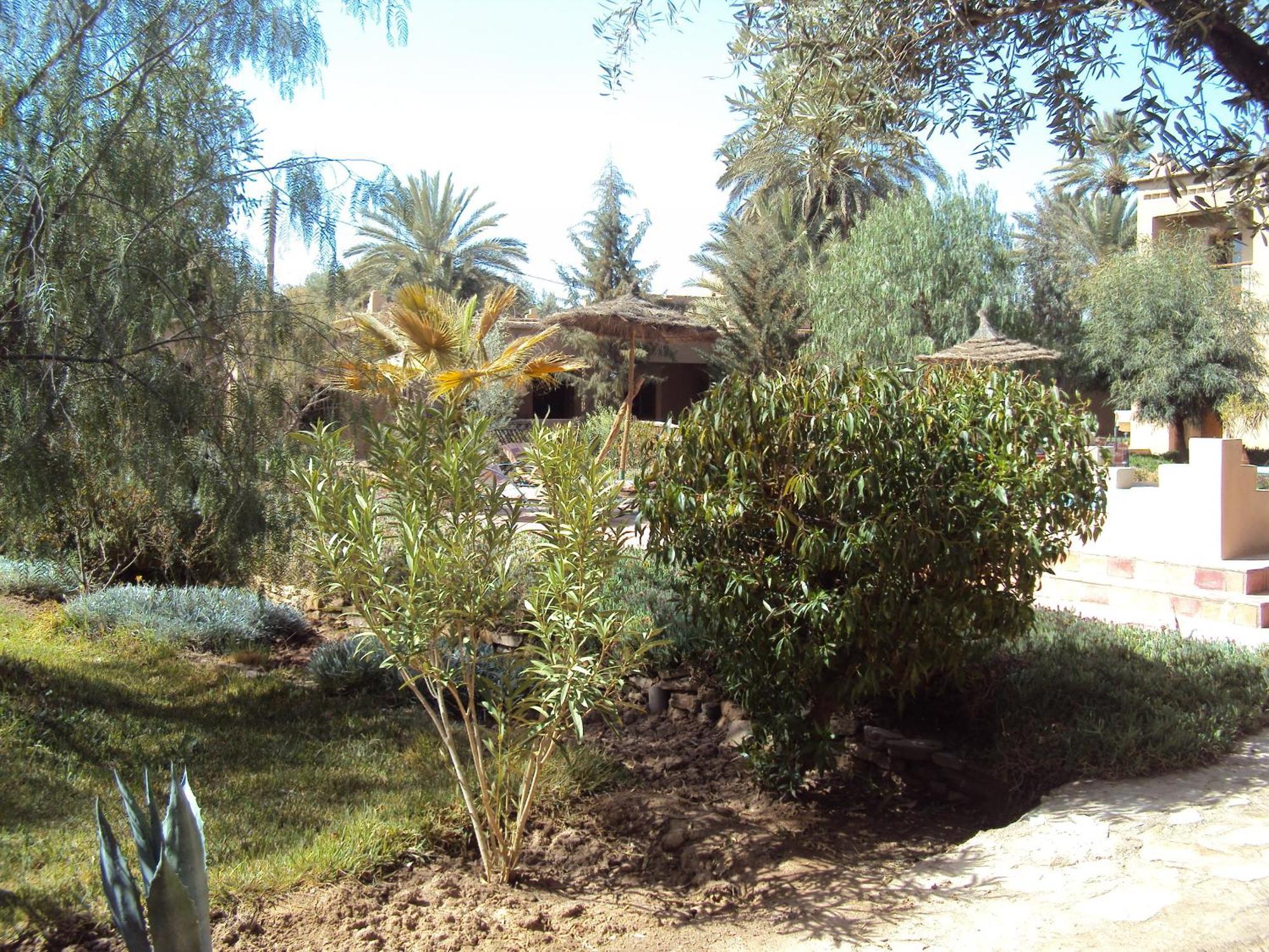 Bed and Breakfast Dar Lorkam Skoura Exterior foto