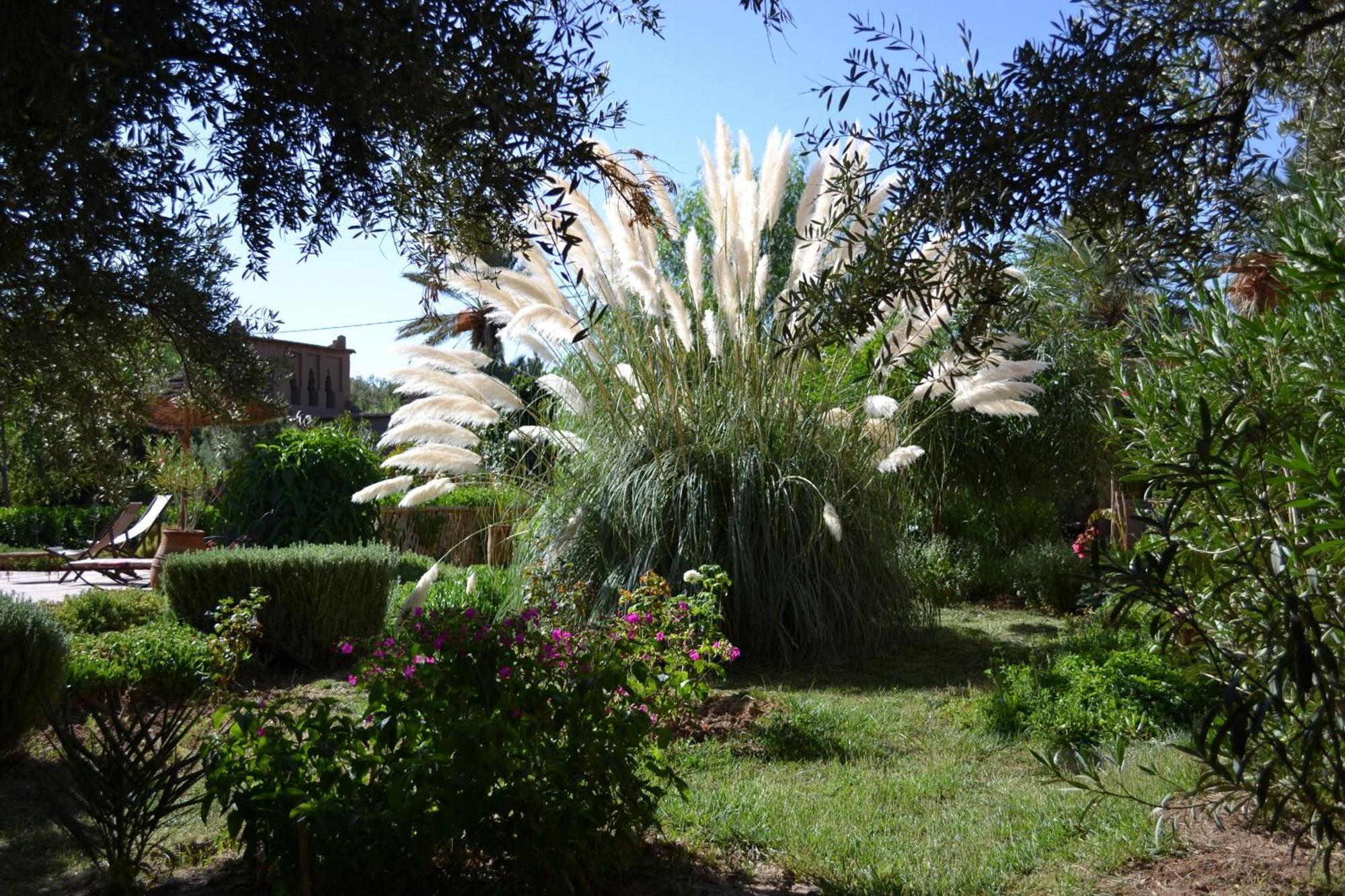 Bed and Breakfast Dar Lorkam Skoura Exterior foto