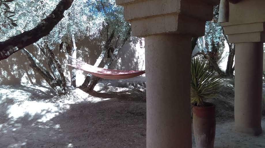 Bed and Breakfast Dar Lorkam Skoura Exterior foto